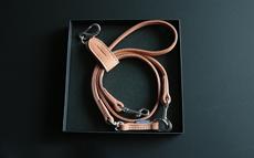 Multi-Way Lead