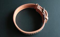 Studded Collar L