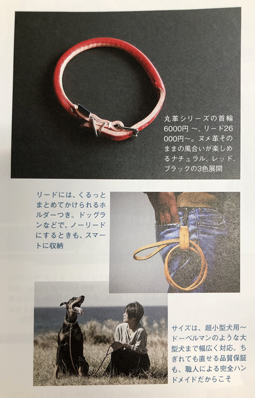 いぬのきもち