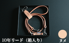 10年リード(多頭引き用の+wanは 別売りです)