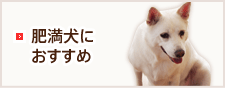 肥満犬におすすめ