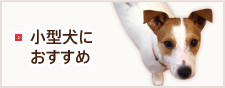 小型犬におすすめ