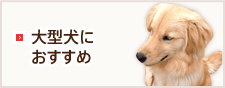 大型犬におすすめ