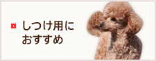 しつけ用におすすめ