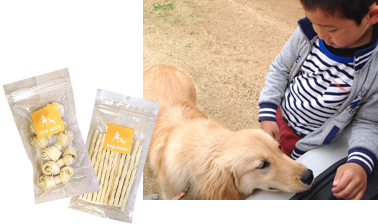 dogdecoお試し商品イメージ