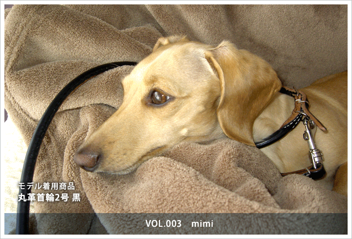 丸革首輪2号　mimi