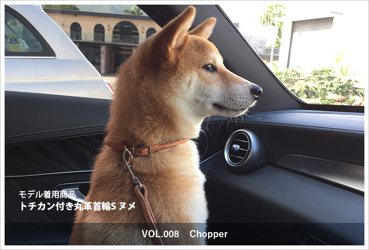 トチカン付き丸革首輪S　Chopper