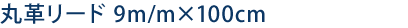 丸革リード 9m/m×100cm
