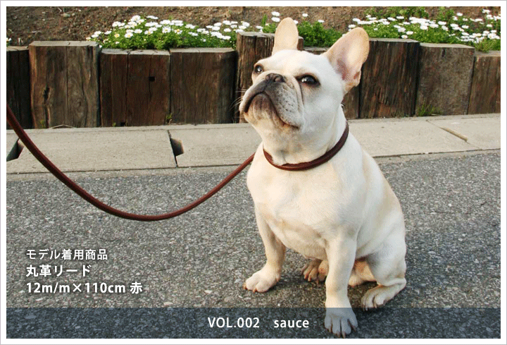 丸革リード 12m/m×110cm　sauce