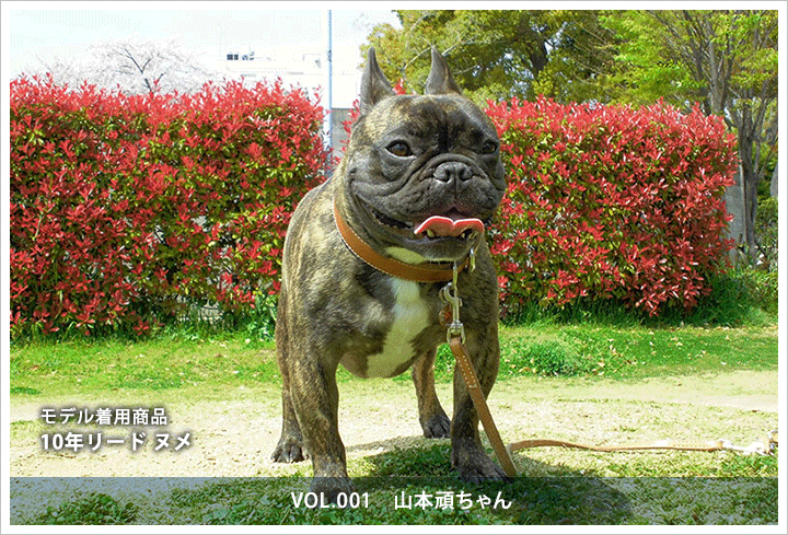 10年リード　山本頑ちゃん