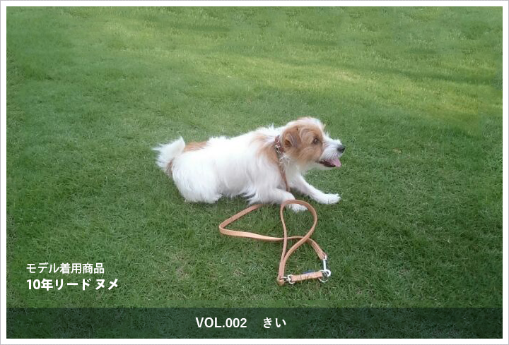 10年リード　きい