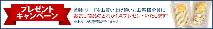 プレゼントキャンペーン 首輪・リードをご購入頂きましたお客様全員にお試し商品どれか1点プレゼントいたします!※おやつの種類は選べません。